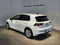 Volkswagen Golf 1.5 eTSI Life DSG AHK LED HuD ACC Navi RFK Weiß - thumbnail 14