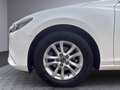 Mazda 6 Revolution Weiß - thumbnail 22