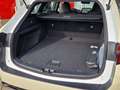 Toyota Corolla TS 1.8 Hybrid Business Taxi-Paket Alb - thumbnail 4