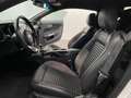 Ford Mustang MUSTANG GT 5.0 V8! SHELBY! TRAUMHAFT! Blanc - thumbnail 4