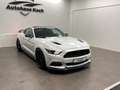 Ford Mustang MUSTANG GT 5.0 V8! SHELBY! TRAUMHAFT! Blanc - thumbnail 1