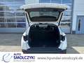 Hyundai TUCSON 1.6 T 7-DCT 4WD 48V TREND NAVI+KAMERA+KRELL Alb - thumbnail 7