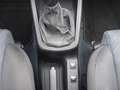 SEAT Leon Klima SHZ PDC 1.Hand Scheckh. gepfl. Rouge - thumbnail 16