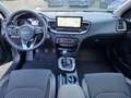 Kia Ceed / cee'd ceed 1.5 T-GDI GPF 140PS Spin+ EU NAVI|KAMERA|PDC| Verde - thumbnail 12