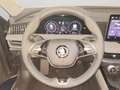 Skoda Superb Combi 2.0TDI 4x4 DSG Selection Matrix AHK ACC Rear Grau - thumbnail 9