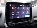 Ford EcoSport 1.0 EcoBoost 100 CV Plus Grigio - thumbnail 17