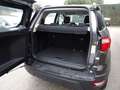 Ford EcoSport 1.0 EcoBoost 100 CV Plus Grigio - thumbnail 20