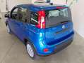Fiat Panda 1.0 FireFly S&S Hybrid Blu/Azzurro - thumbnail 10