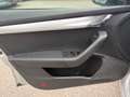 Skoda Octavia Combi 2,0 Ambition TDI 4x4 DSG Silber - thumbnail 24