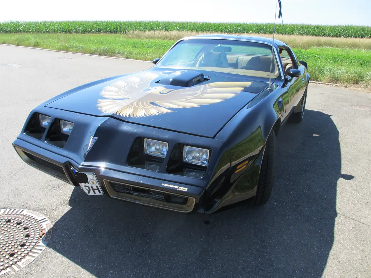 Pontiac Trans Am 6,6l V8 Trans Am SE, T-Top Targa, H- Kennz.,TÜV, foto 2