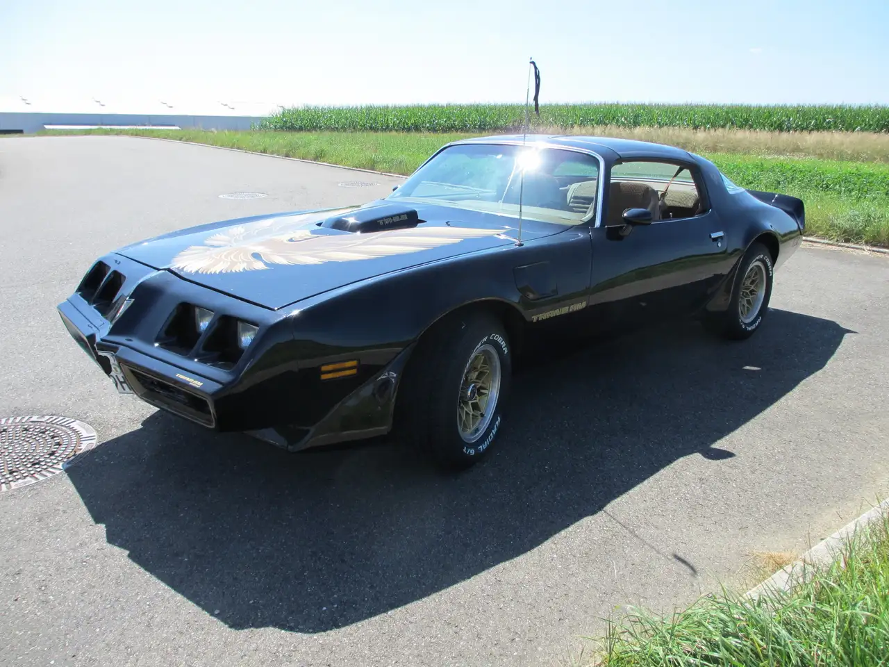 Pontiac Trans Am 6,6l V8 Trans Am SE, T-Top Targa, H- Kennz.,TÜV, foto 4
