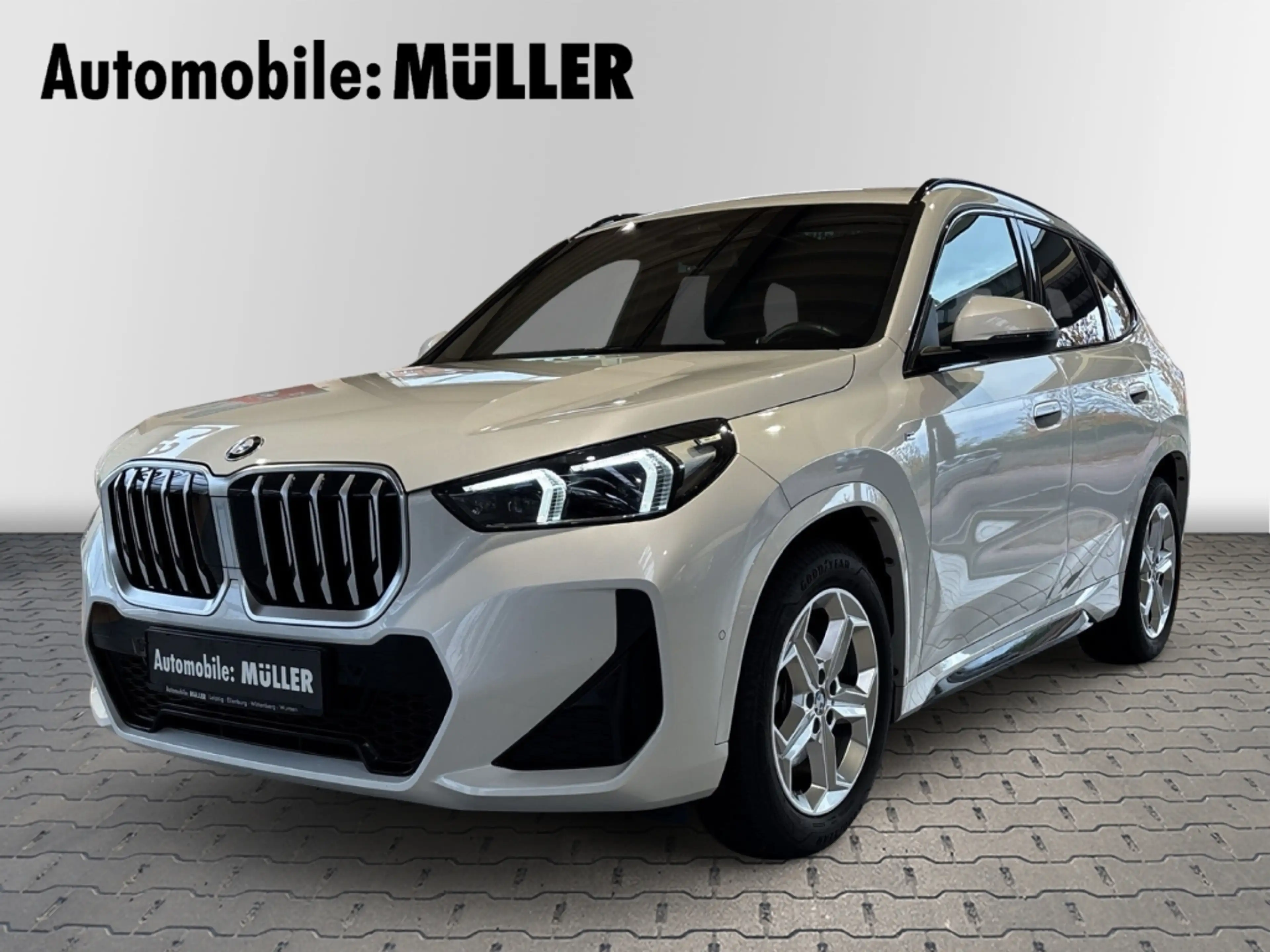 BMW X1 sDrive 18 i M Sport El. Panodach Memory Sitze Harm