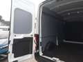Ford Transit Kasten 350 L3 Trend Sync 4 Kamera Navi SHZ Weiß - thumbnail 13