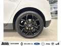 Renault Scenic TCe 140 GPF EDC BLACK EDITION AHK abnehmbar Blanco - thumbnail 24