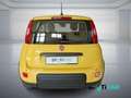 Fiat Panda 1.0 FireFly S&S Hybrid Giallo - thumbnail 8