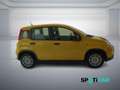 Fiat Panda 1.0 FireFly S&S Hybrid Giallo - thumbnail 3