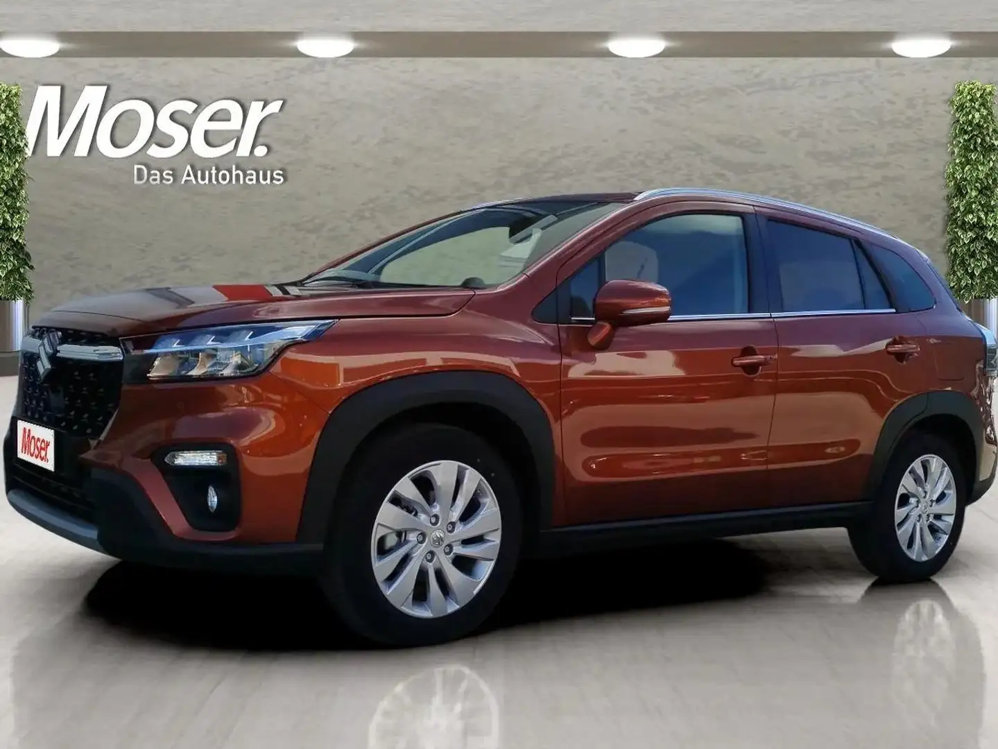 Suzuki S-Cross 1.4h Top 4wd allgrip Marrone - 1