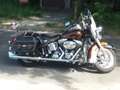 Harley-Davidson Softail FLSTC Marrone - thumbnail 2