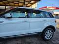 Land Rover Range Rover Evoque Range Rover Evoque Bianco - thumbnail 2