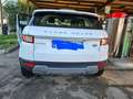 Land Rover Range Rover Evoque Range Rover Evoque Bianco - thumbnail 6