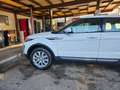 Land Rover Range Rover Evoque Range Rover Evoque Bianco - thumbnail 5