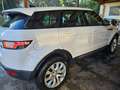 Land Rover Range Rover Evoque Range Rover Evoque Bianco - thumbnail 1