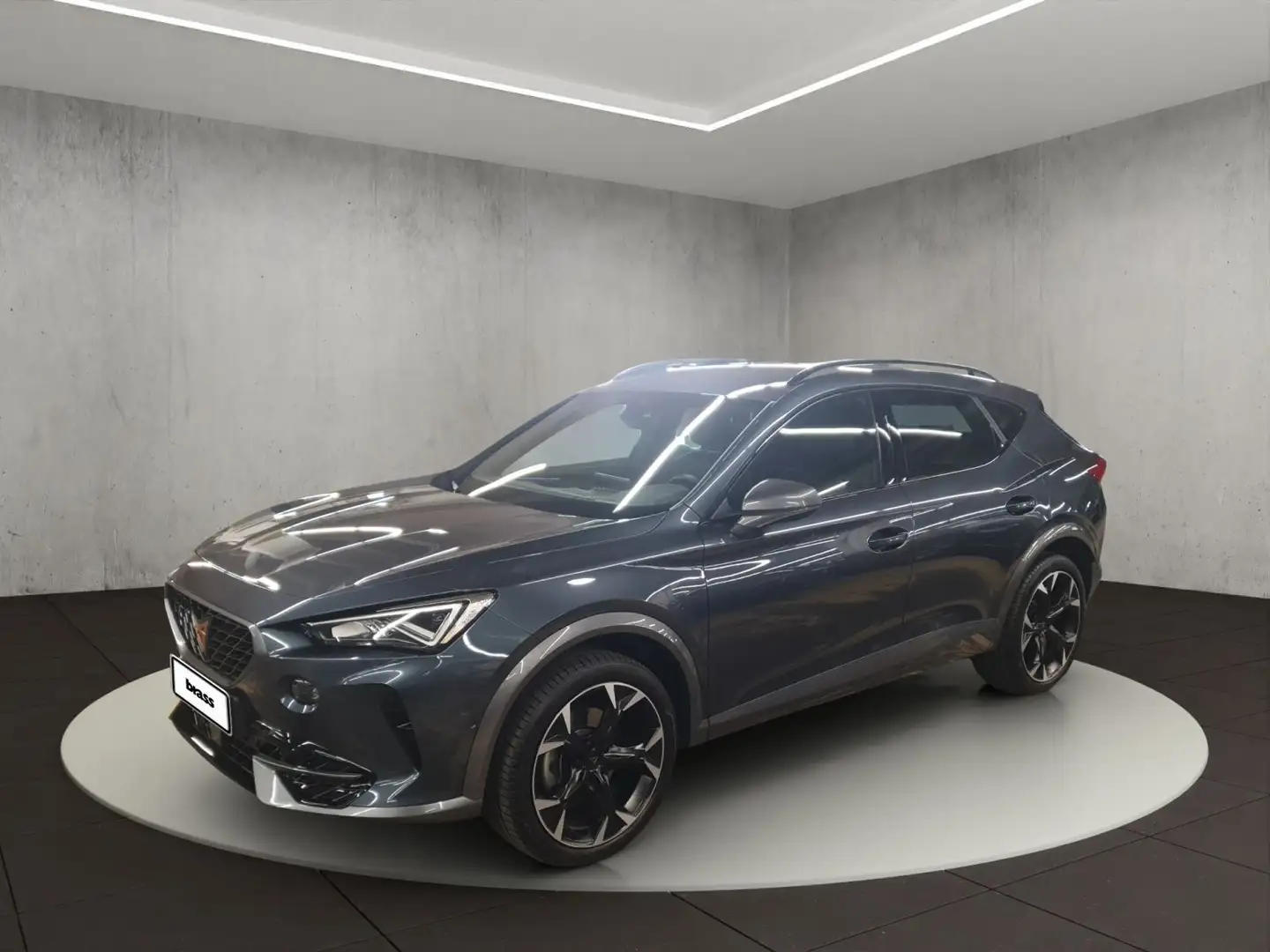 CUPRA Formentor . Grijs - 1