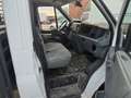 Ford Transit Pritsche Zwillingsberft Weiß - thumbnail 8