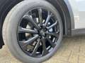 Mazda CX-60 2.5 e-SkyActiv PHEV Business Edition SPORT | BLACK Beige - thumbnail 19