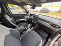 Dacia Duster III TCe 130 Extreme 4x4 Navi RFK SHZ PDC Gris - thumbnail 25