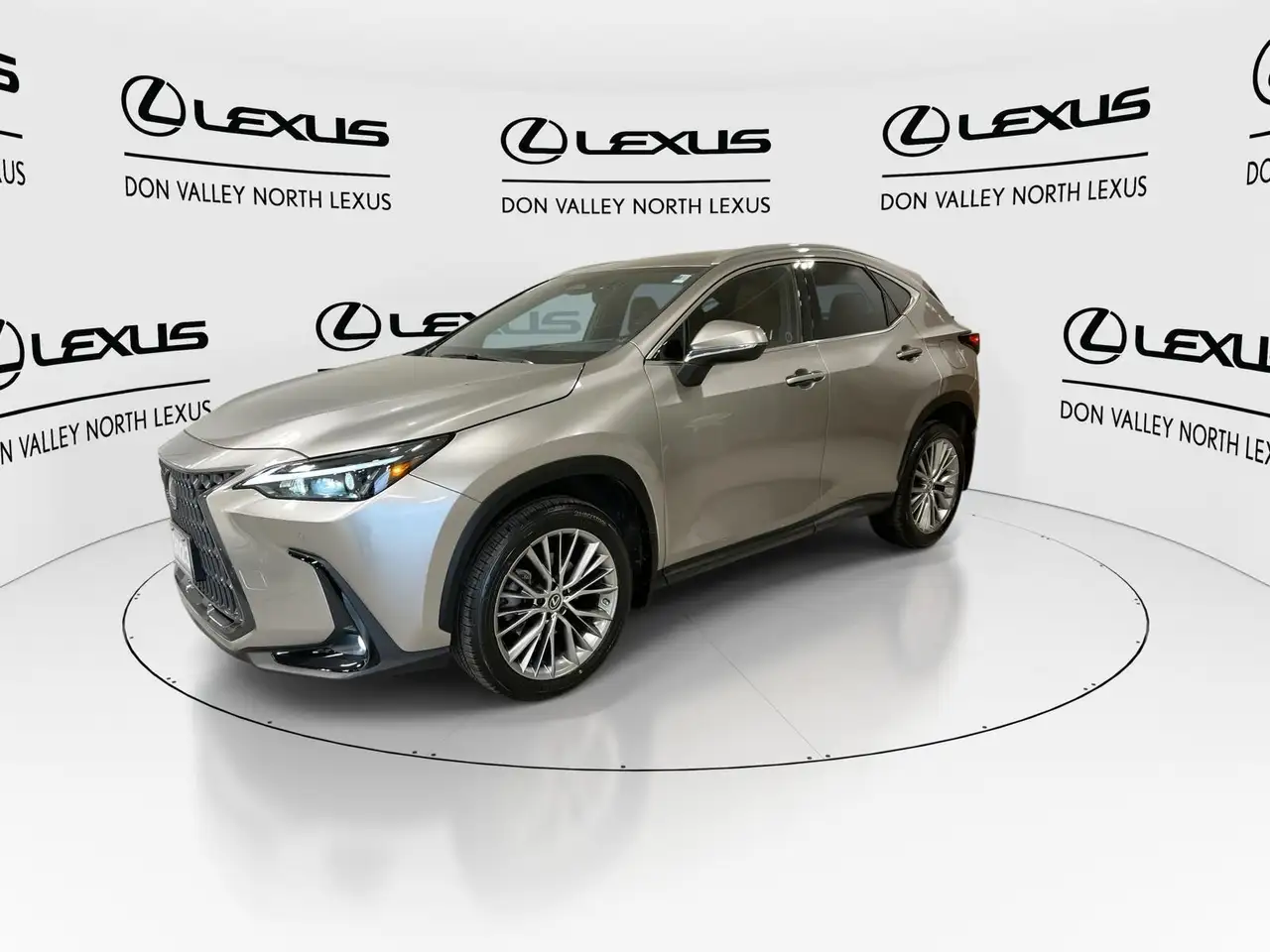 Lexus NX fotografie Lexus NX