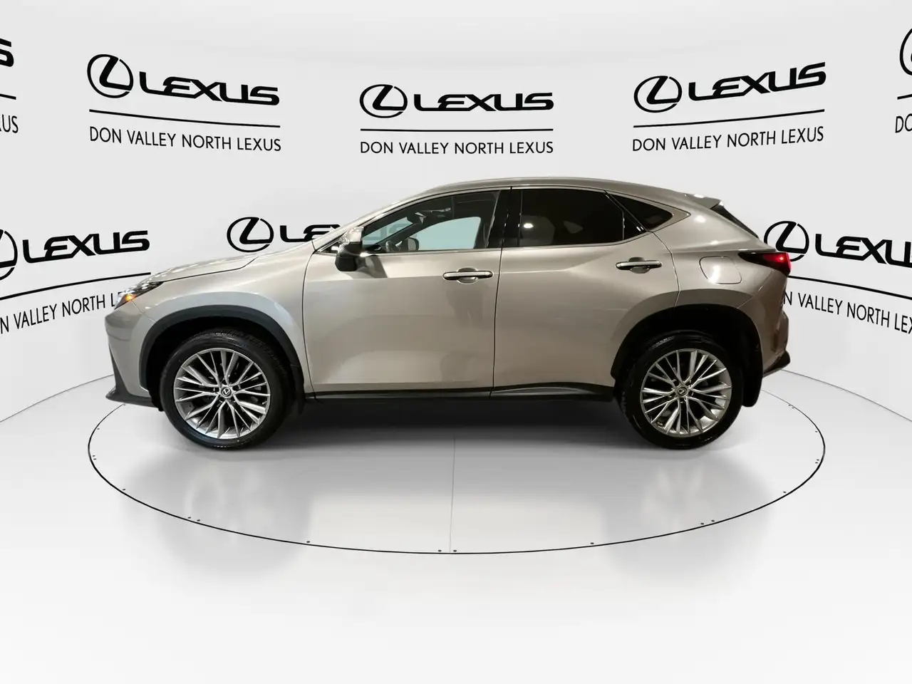 Lexus NX fotografie Lexus NX