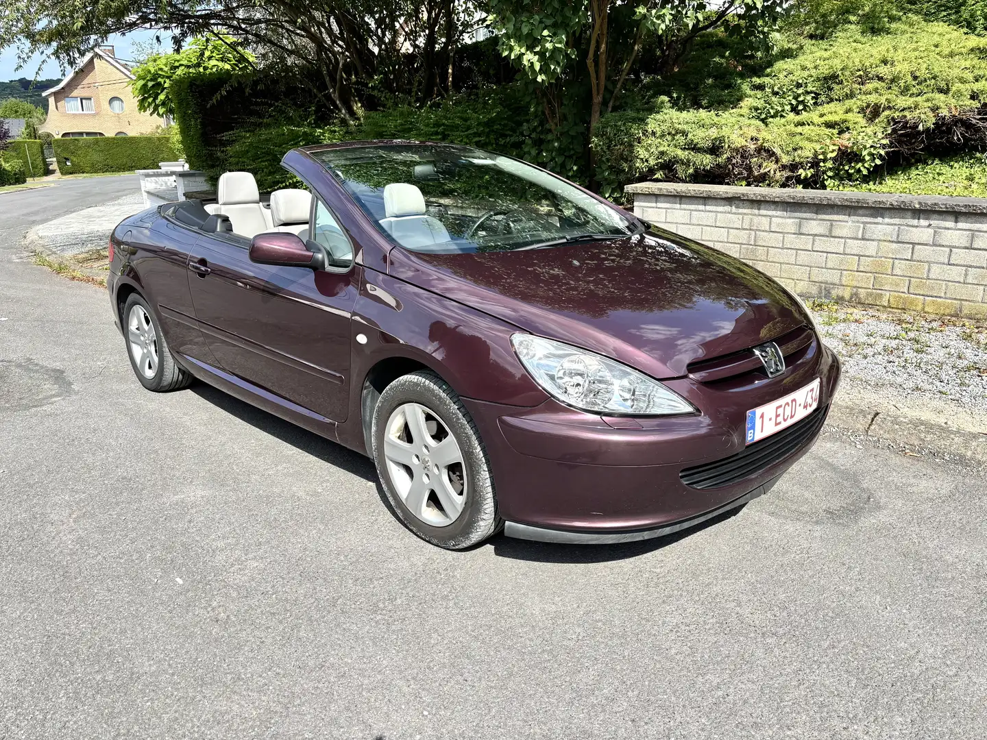 Peugeot 307 Paars - 1
