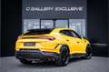 Lamborghini Urus 4.0 V8 Performante - Full Carbon | Full PPF | Akra Geel - thumbnail 7