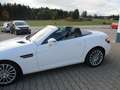 Mercedes-Benz SLK 250 SLK 250 CDI BlueEfficiency (172.403) Blanco - thumbnail 16