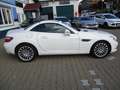 Mercedes-Benz SLK 250 SLK 250 CDI BlueEfficiency (172.403) Blanco - thumbnail 4