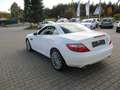 Mercedes-Benz SLK 250 SLK 250 CDI BlueEfficiency (172.403) Blanco - thumbnail 7