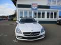 Mercedes-Benz SLK 250 SLK 250 CDI BlueEfficiency (172.403) Blanco - thumbnail 2