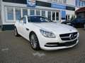 Mercedes-Benz SLK 250 SLK 250 CDI BlueEfficiency (172.403) Blanco - thumbnail 3
