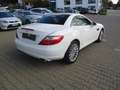 Mercedes-Benz SLK 250 SLK 250 CDI BlueEfficiency (172.403) Blanco - thumbnail 5