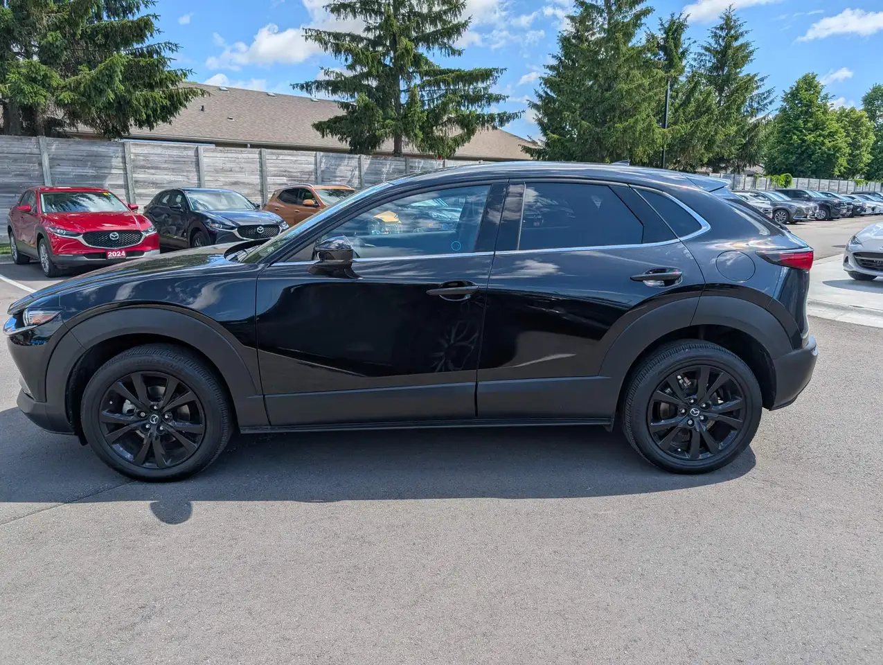 Mazda CX-30 photo Mazda CX-30