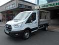 Ford Transit FT 350 Chasis Cabina 2.0 EcoBlue L2 Trail Blanco - thumbnail 5