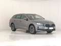 Skoda Octavia Wagon 2.0 TDI Executive Grau - thumbnail 3