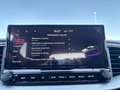 Kia XCeed 1.0 t-gdi High Tech Adas Pack Gpl 117cv Argento - thumbnail 15
