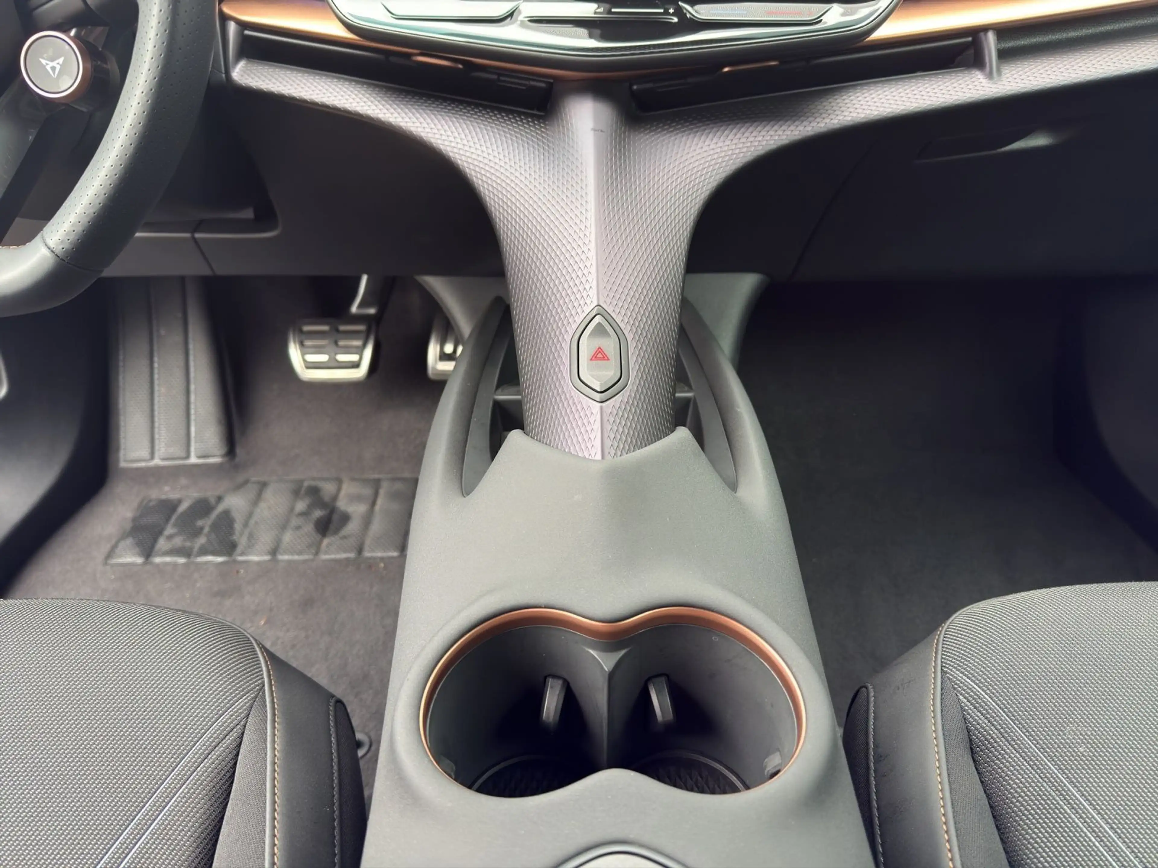 CUPRA Tavascan Endurance SIDE-ASSIST W-PUMPE MATRIX PA — photo 11