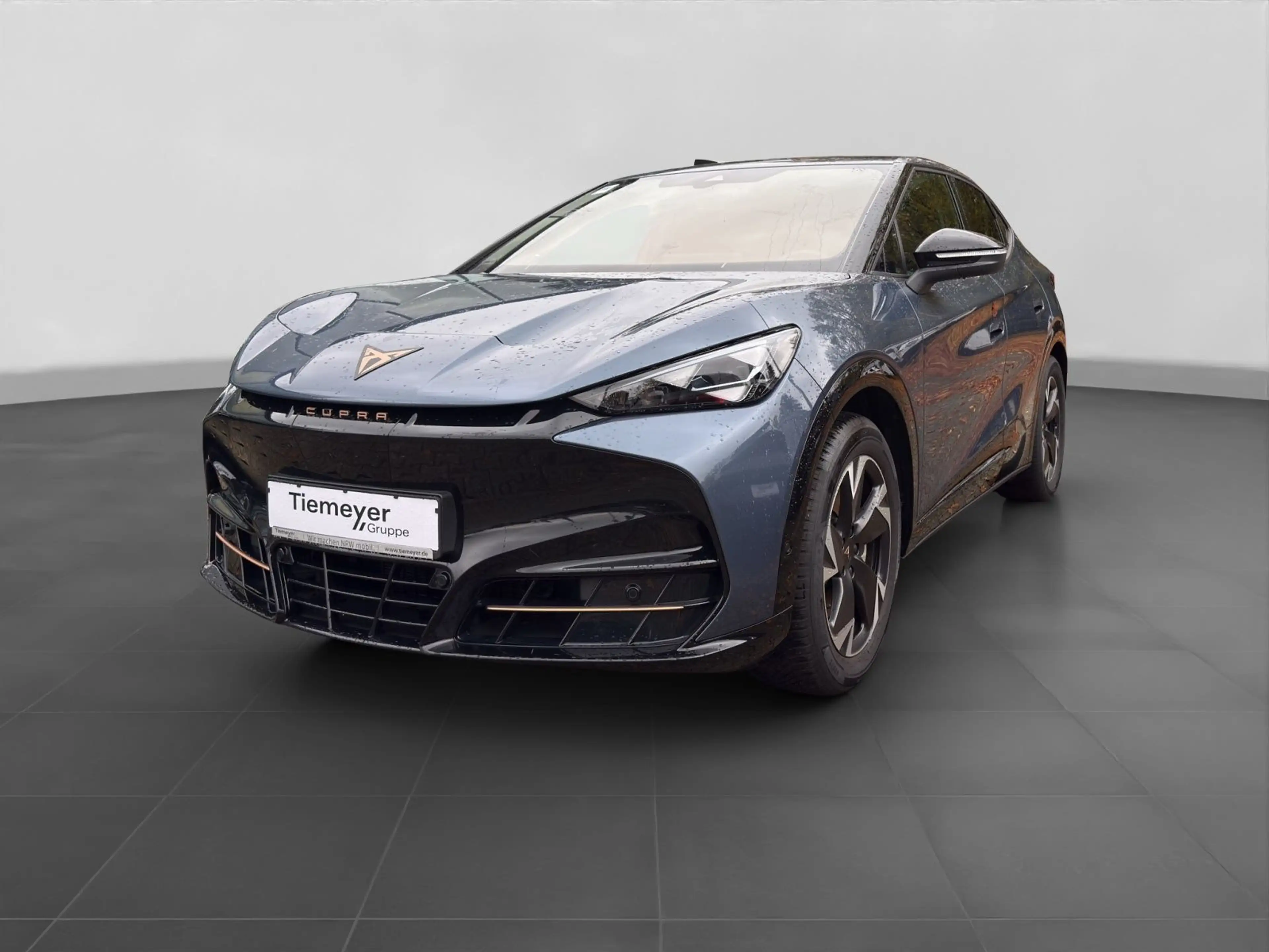 CUPRA Tavascan Endurance SIDE-ASSIST W-PUMPE MATRIX PA — photo 2