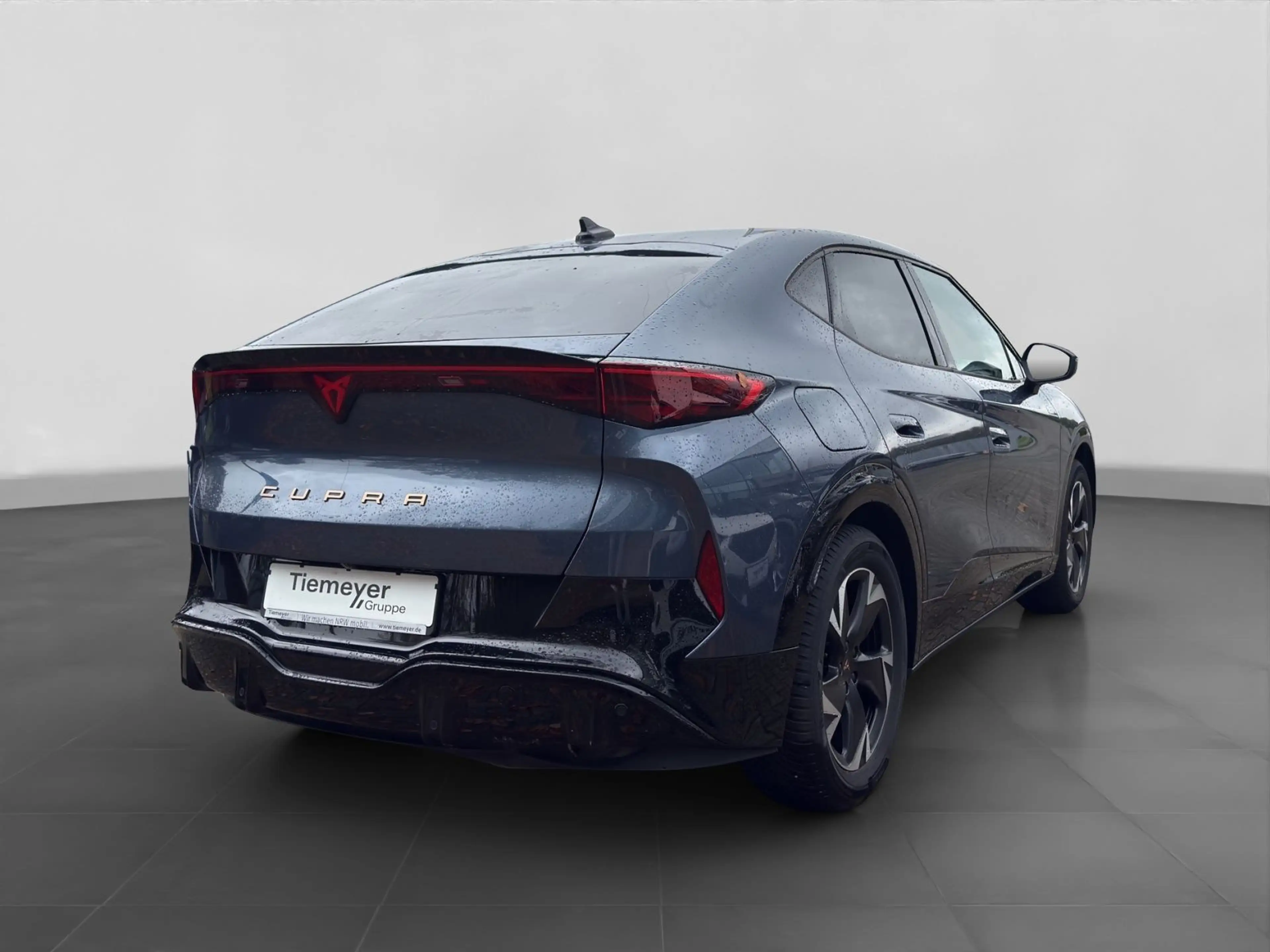 CUPRA Tavascan Endurance SIDE-ASSIST W-PUMPE MATRIX PA — photo 3