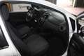Fiat Punto 1.3 MJT II 75 CV 5 porte *Garantita* Wit - thumbnail 7