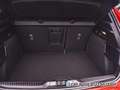 Ford Focus 1.0 Ecoboost MHEV ST-Line X 155 Rot - thumbnail 13