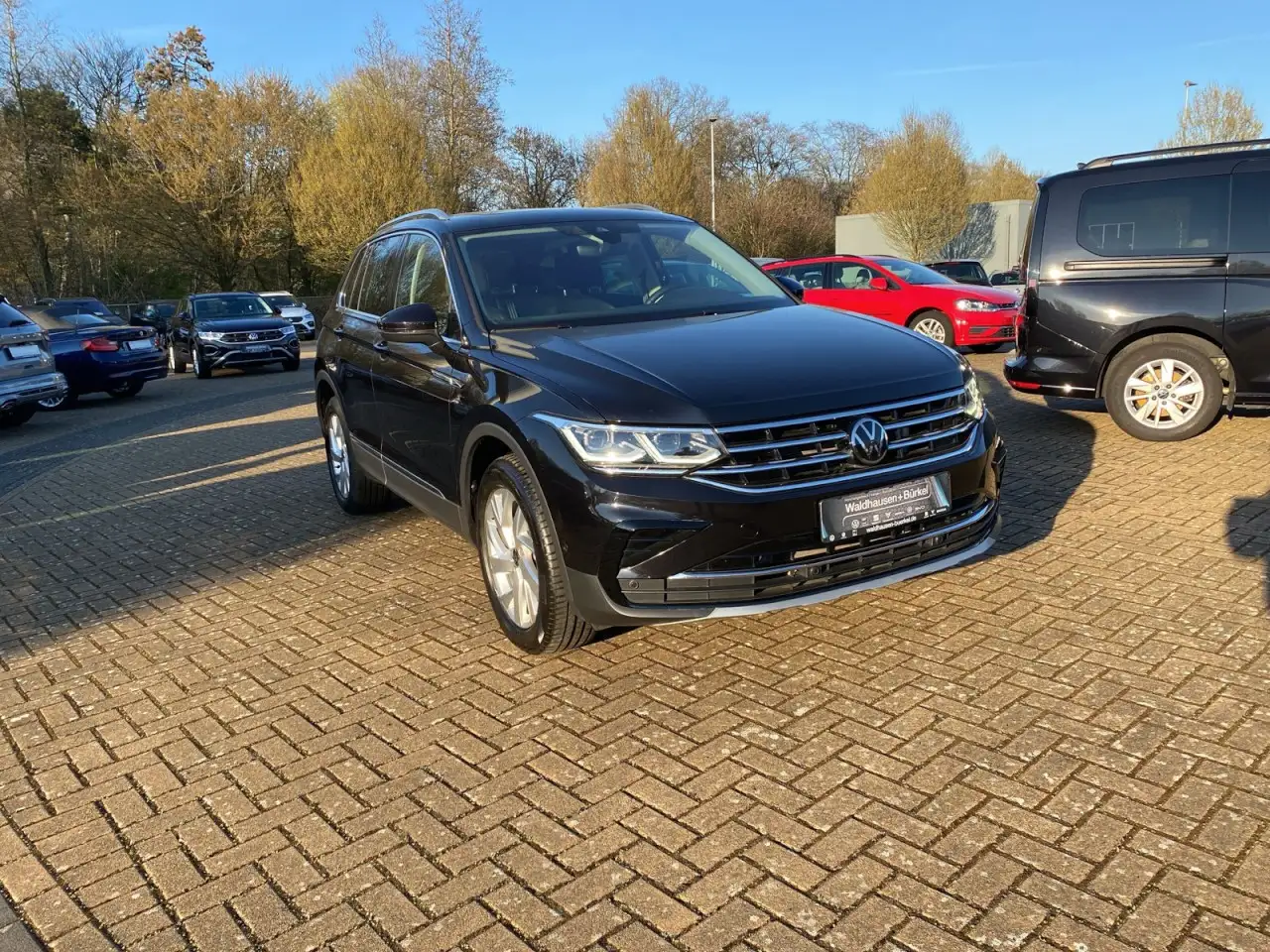 Volkswagen Tiguan 2.0 TDI Elegance 4Motion+AHK+PANO+RFK+LED Klima 5